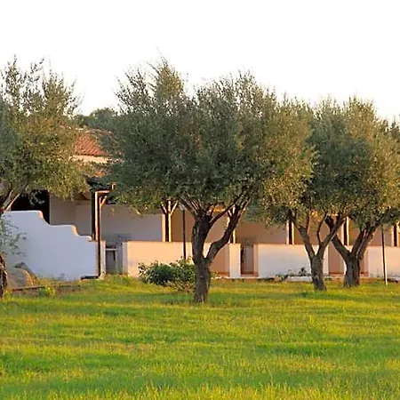 Hotel Villaggio Club Dolomiti Sul Mare *